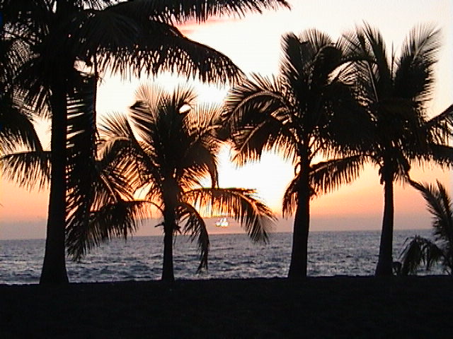 2002 - La Réunion C10.JPG